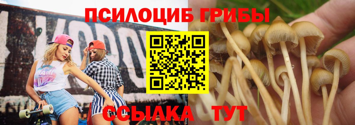 Галлюциногенные грибы мухоморы  Псилоцибиновые грибы ЛСД  Вход с VPN  наркота  Озёры 