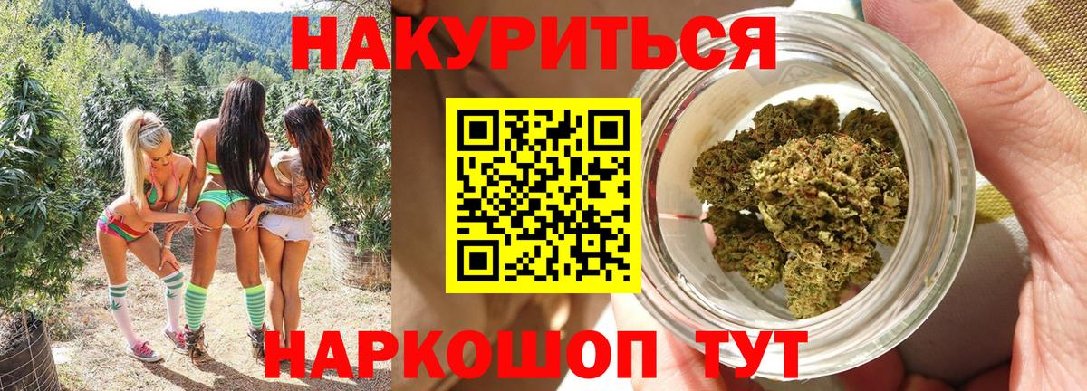 Каннабис OG Kush Озёры